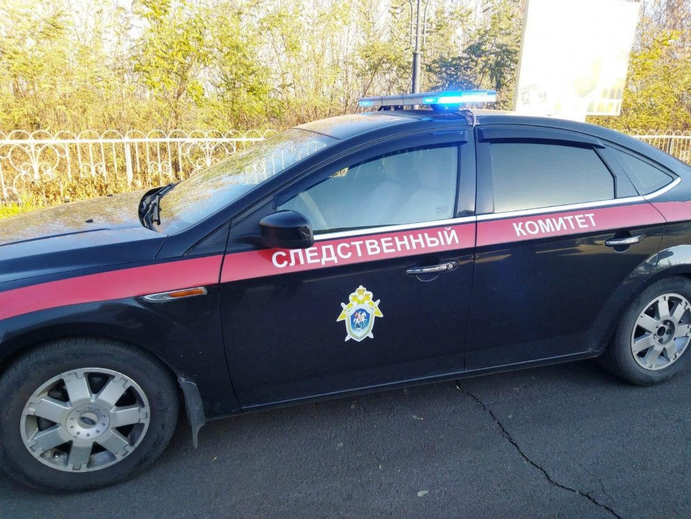 СК и полиция подключились к поискам пропавшей 15-летней девочки в Воронеже