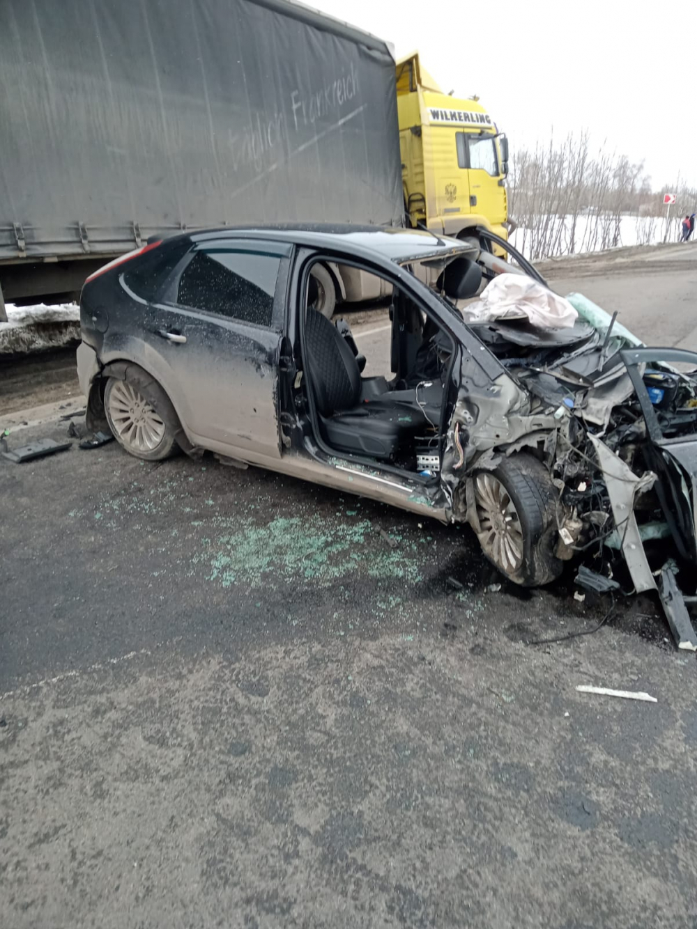 Следователи назвали пьяным водителя Ford Focus, в столкновении с которым погибла мать с двумя детьми под Воронежем
