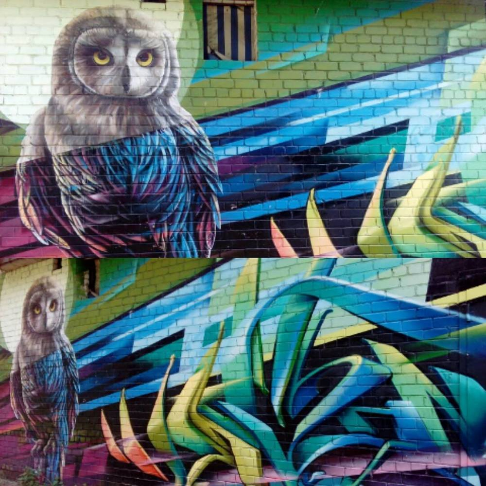 Потрясающее граффити совы появилось в Воронеже
