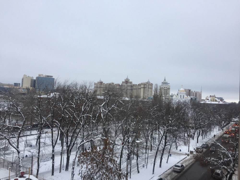 Зима уйдет из Воронежа в конце недели