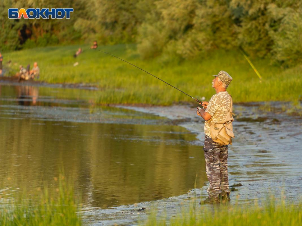 Воронежцам рассказали, какие дни августа лучше выбирать для рыбалки