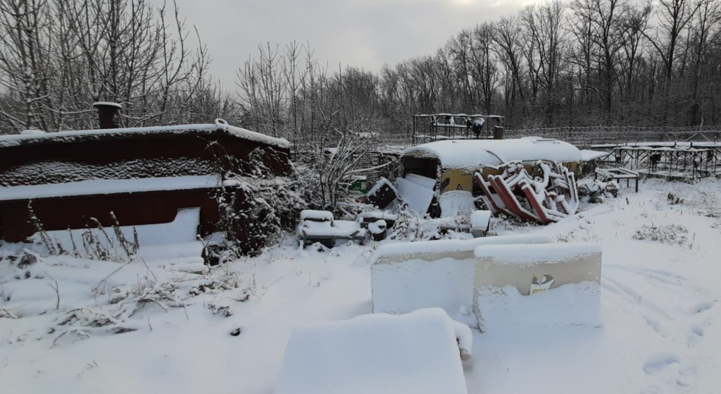 ивлееву оштрафовали на 1 млрд. мамаев с женой. ивлееву оштрафовали на 1 млрд. ивлееву оштрафовали на 1 млрд. надежда мамаева жена футболиста.
