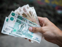 Компания из пяти человек обогнала по выручке бюджет Воронежской области