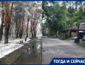 Любимый парк воронежских мам чуть не уничтожил «строительный клан»