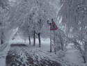 Настоящая зима пришла в город в Воронежской области