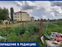 Настоящее воронежское безобразие показали на фото