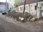 Беспощадную вырубку деревьев заметили у старинного Дома Гарденина в Воронеже