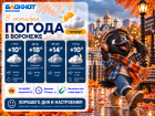 Тепло, но пасмурно: прогноз погоды в Воронеже