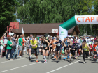 На «Зеленый марафон» Сбербанка в Воронеже и Тамбове зарегистрировалось более 2 тысяч человек