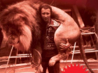 Легенда воронежского цирка подарит бесплатное праздничное шоу горожанам