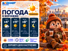 Какой погодой встретит Воронеж новую рабочую неделю