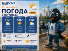 Плавное похолодание придет в Воронеж с началом осени 