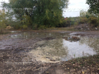 Загрязняющие вредоносные вещества, сбрасываемые "ЭкоЛайнером", подтвердили лабораторно в Воронеже