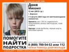 В Воронеже объявили срочные поиски 12-летнего мальчика