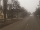 Воронежцы сообщили об угрожающем дереве над проезжей частью