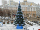 Мэрия Воронежа нашла ответ для желающих поставить новогоднюю ель за 1 копейку