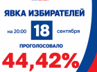 Беспрецедентная явка зафиксирована в первый день ЕДГ-2026 в Воронежской области
