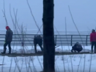 Укладку рулонного газона в снег объяснили в Воронеже 