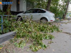 Синоптики предупредили об усилении северного ветра в Воронежской области  