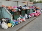 Мусорный апокалипсис вновь разверзся на улицах Воронежа: люди страдают от вони и грязи