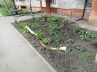 Лентами для похоронных венков огородили клумбу во дворе Воронежа