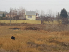 Силовиков заинтересовало равнодушие глав сельсоветов к проблемам воронежца