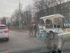 Карету, запряженную лошадью, заметили на дорогах Воронежа