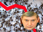Воронежское правительство ответило за падение рейтинга Гусева, высосанного комарами
