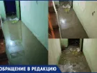 «Сотрудники травятся, свет отключен, а ремонт займет 3–4 месяца»: воронежский благотворительный склад утонул в фекалиях