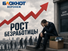  Рост безработицы зафиксировал Воронежстат