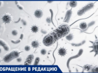 Воронежцы забили тревогу из-за кишечной инфекции, разбушевавшейся в местной школе