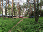 Зеленую зону Воронежа превратили в бесконтрольную парковку: опубликовано видео