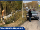 Воронежцы сообщили о рухнувшем дереве, а чиновники – об опиловке 