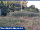 Нет освещения, автобусов и воды: жители сообщили о смерти маленького поселка в Воронежской области