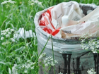 Воронежцы собрали 3500 тонн мусора на городском субботнике