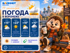 Самое время прогуляться: прогноз погоды в Воронеже