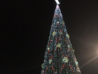 Обнаружена очередная ранняя новогодняя елка в Воронеже