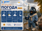 Летние капризы: прогноз погоды в Воронеже