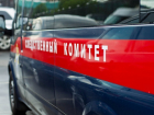 Молодая воронежская девушка-экстремист «развела» своего знакомого на дорогой мобильник  