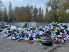 Мусорная эпопея настигла жителей Воронежа 