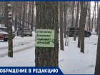Воронежцы рискуют своими машинами ради стихийной парковки у «Олимпика»