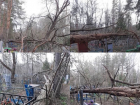 Лесное кладбище оказалось завалено деревьями в преддверие Пасхи в Воронеже