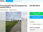 За 325 млн рублей продается колхоз в Панинском районе под Воронежем