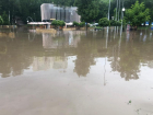 С затоплениями Центрального парка поручил разобраться мэр Воронежа