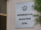 Стали известны обладатели комитетских портфелей в Воронежской облдуме