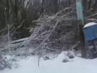 Равнодушие электриков на новогодних праздниках воронежцы сняли на видео