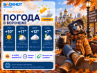 Облачная осень: прогноз погоды в Воронеже