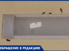 О неприятных соседях в больнице рассказали воронежцы
