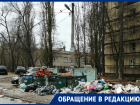 Рай для грызунов нашли рядом с гимназией в Воронеже