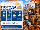Устраиваем киновечер: прогноз погоды в Воронеже